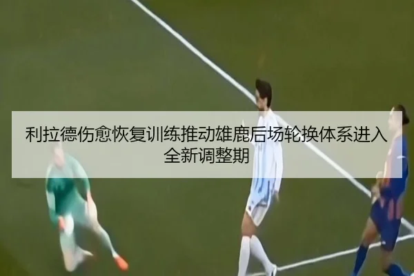 利拉德伤愈恢复训练推动雄鹿后场轮换体系进入全新调整期
